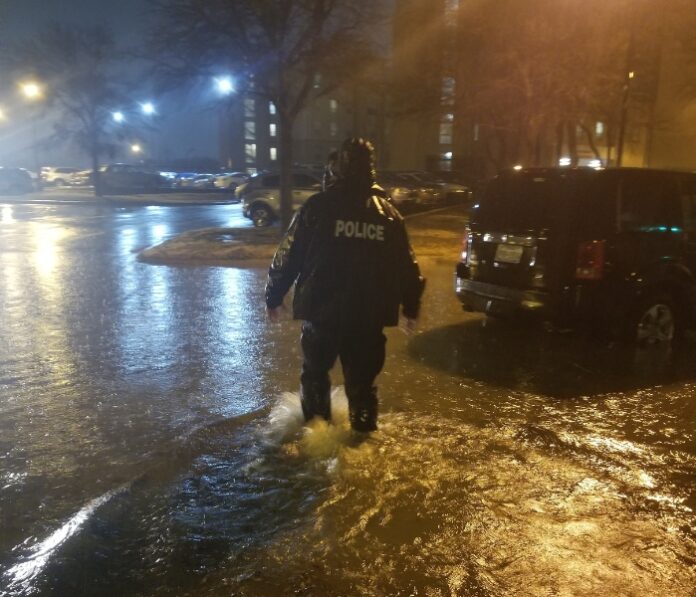 News - UDPD in Action