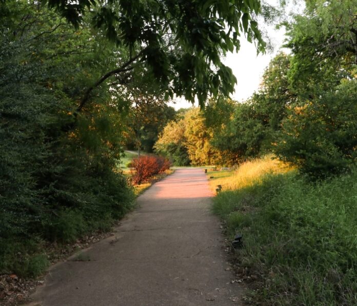 Commentary - acts of kindness