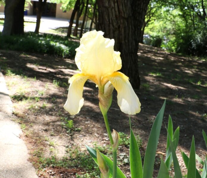 community- easter on campus