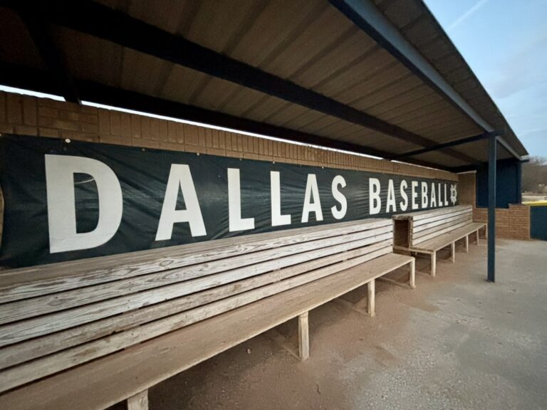 UD Baseball Returns!